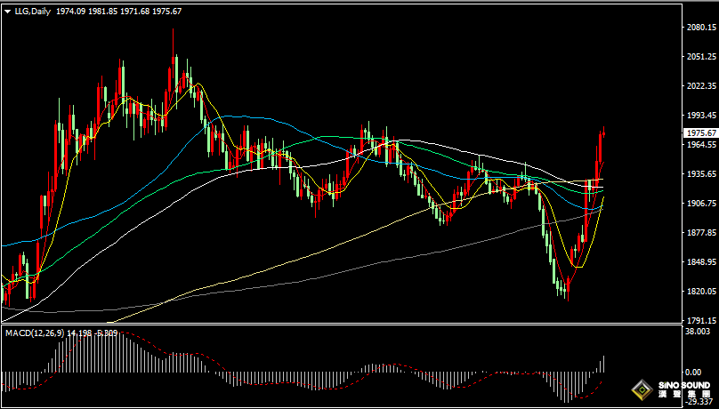 漢聲張新才:[10月20日早評]鮑威爾暗示美元暫停加息，美元下跌黃金大幅上漲