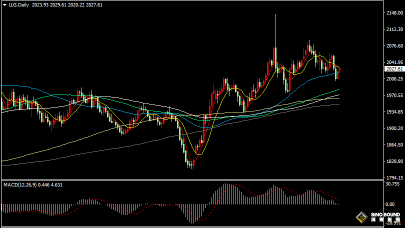 漢聲張新才:[1月19日晚評]日內金價反彈逼近2030關口，晚間行情或受數據影響波動
