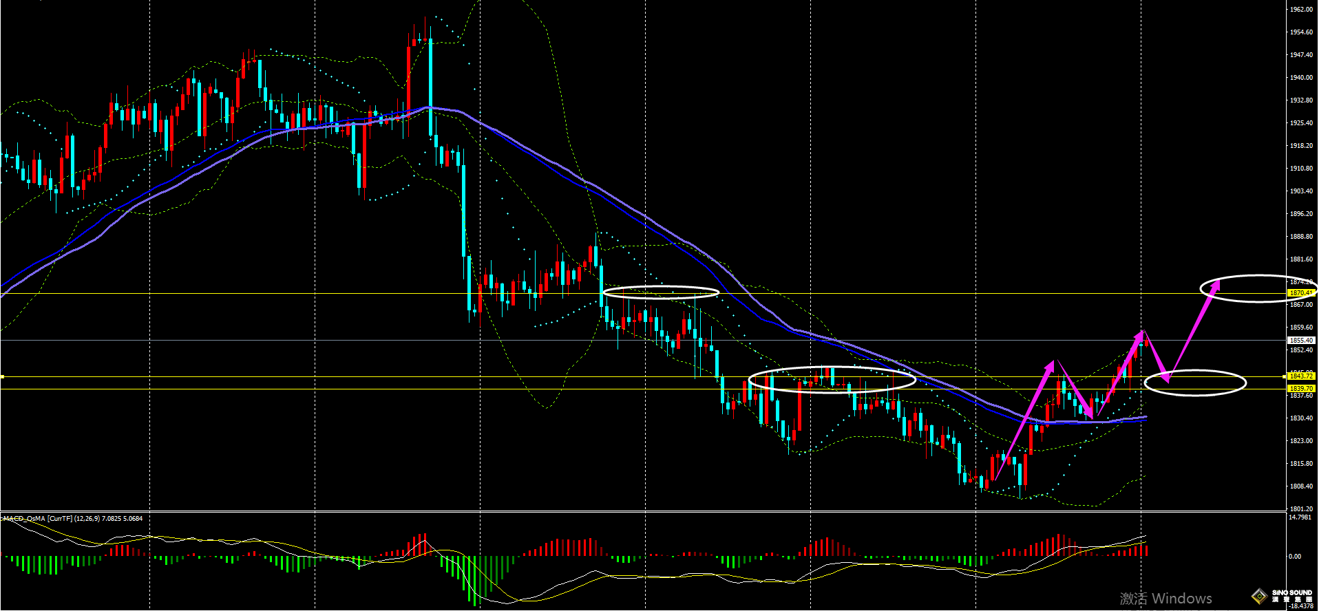 劉建偉：黃金築底反彈上攻