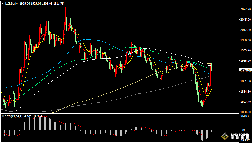 漢聲張新才:[10月16日晚評]加沙南部暫時停火，金價高位回落調整