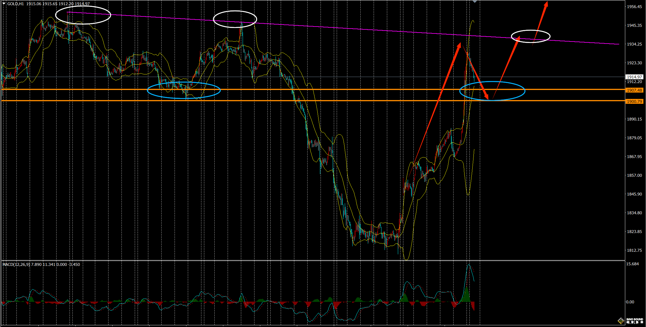 劉建偉：黃金探底回升再沖高
